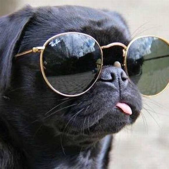 sircooper